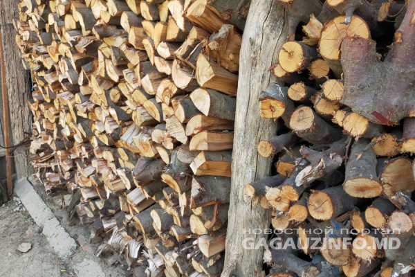 Лесхоз Комрата выделит нуждающимся лишь 6,6% от необходимого количества дров