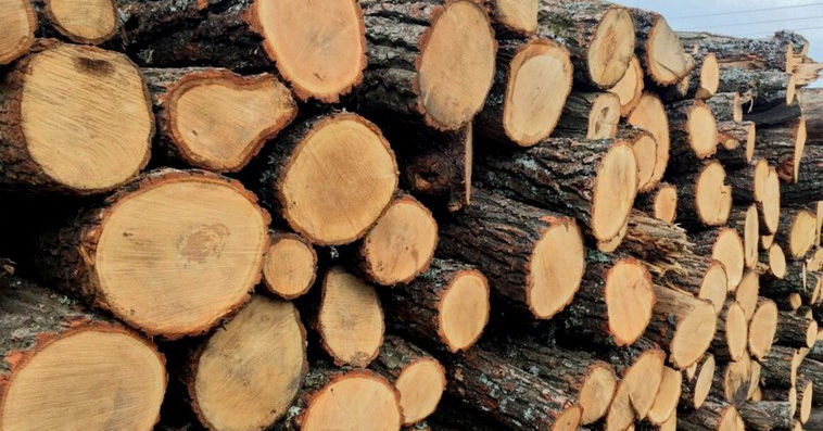 Лимит продажи дров населению увеличен с 3 до 5 складометров
