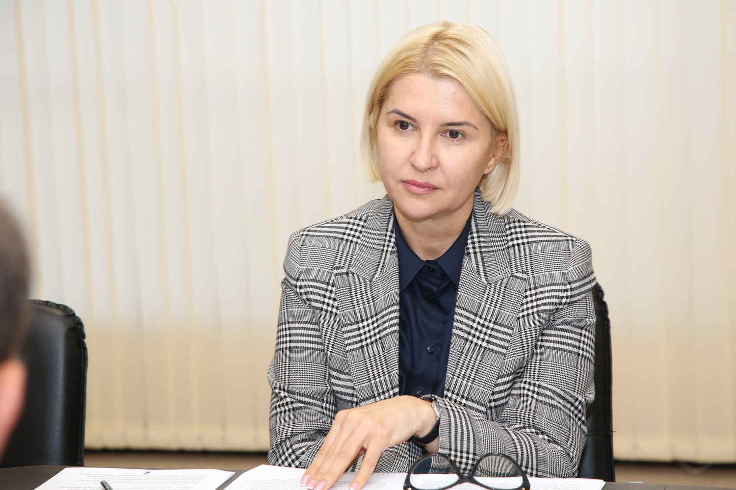 «Власть должна убеждать, а не навязывать». Ирина Влах обсудила с экспертами Венецианской комиссии законы, раскалывающие общество