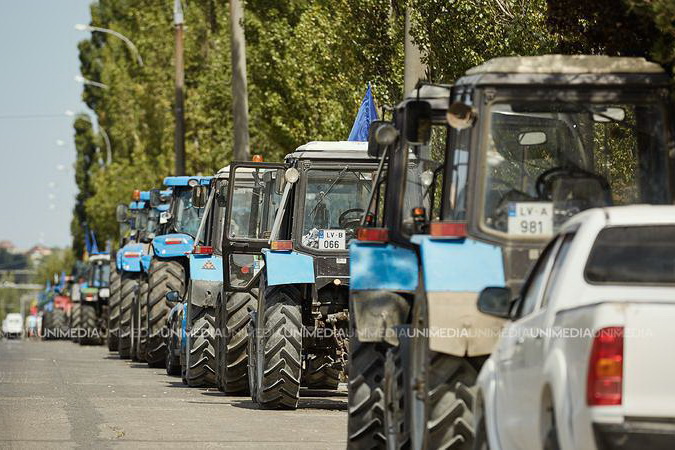 Власти ничего не делают: фермеры из Бричан вышли на протест