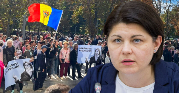 Гаврилица призвала полицию не стыдится применять закон к протестующим