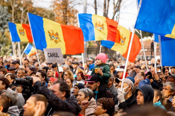 Полиция выписала 40 штрафов и завела одно уголовное дело против участников протестов «Шор»