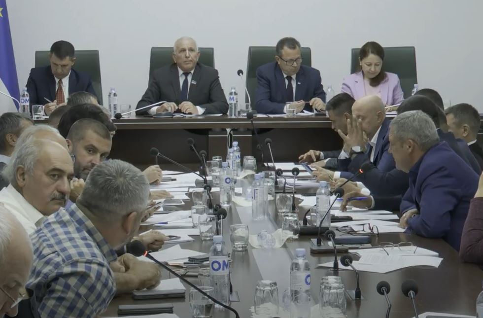NO COMMENT: «Стыд и срам» - депутат о составе бюджетной комиссии НСГ