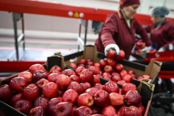 Роспотребнадзор снял ограничения еще с четырех компаний из Оргеева