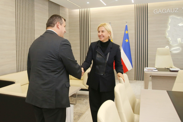 Башкан на встрече с Европарламентарием: Статус кандидата в ЕС поможет Молдове интегрироваться в глобальные процессы