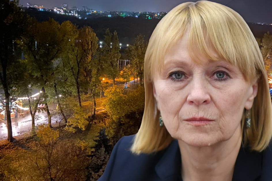 Немеренко возмутилась, что кафе не отключили освещение: Пришло время наказывать