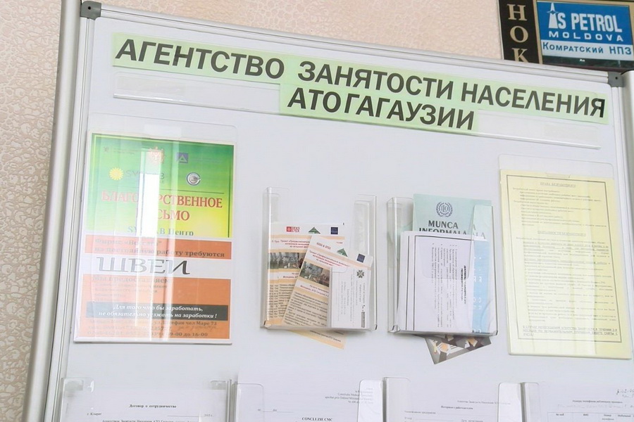 ANOFM отчитался о трудоустройстве в Гагаузии граждан Украины