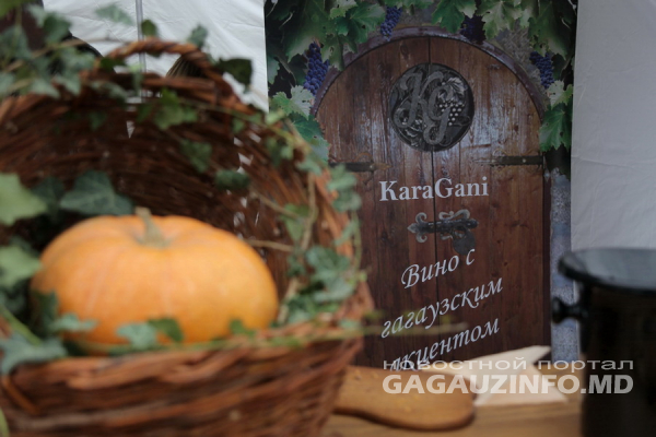 На одной параллели с Бордо: почему в Гагаузии хорошее вино