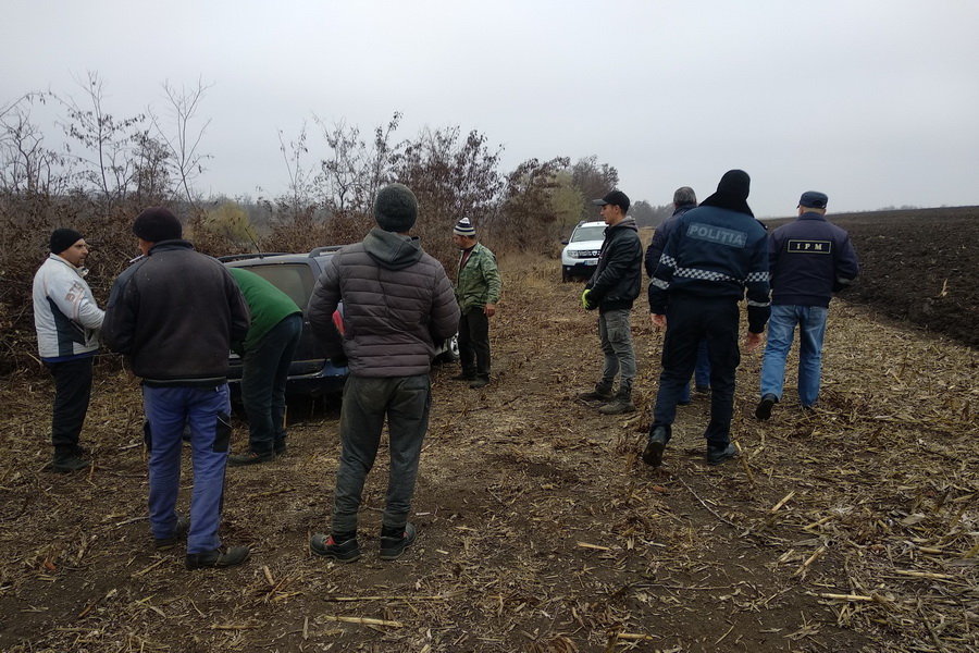 В Тараклии зарегистрировали новые нарушения экологического законодательства. Что случилось?