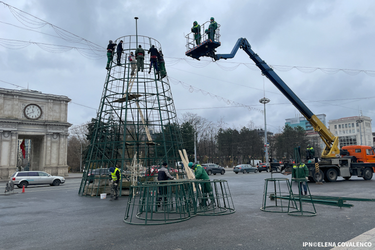 В столице полным ходом идут работы по установке новогодней елки