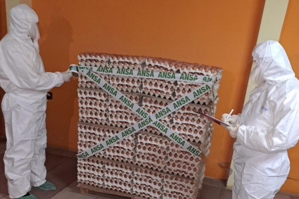 В Молдове изымают с продажи партию яиц. В них нашли сальмонеллу