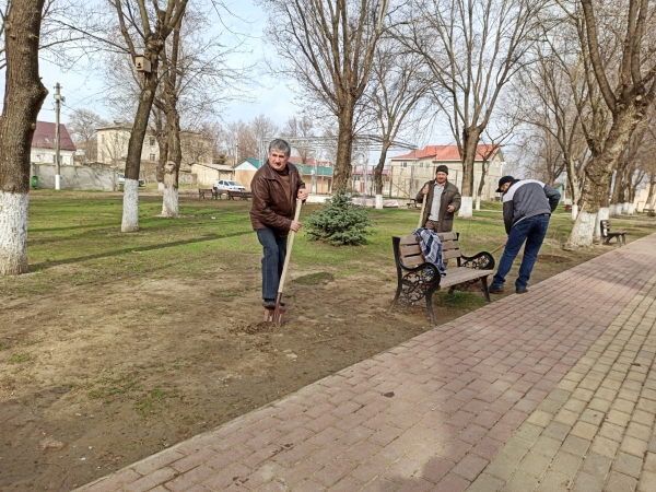 Липы, березы, каштаны. В Казаклии проводят озеленение в парке и центре села