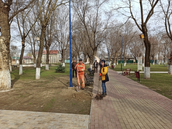 Липы, березы, каштаны. В Казаклии проводят озеленение в парке и центре села