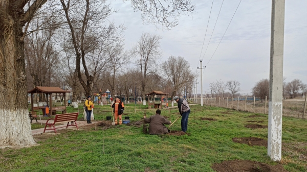 Липы, березы, каштаны. В Казаклии проводят озеленение в парке и центре села