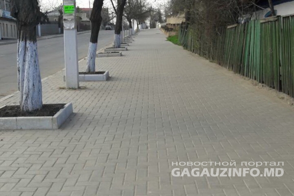 ЖКХ: Из-за карантина в Комрате стало «намного меньше мусора»