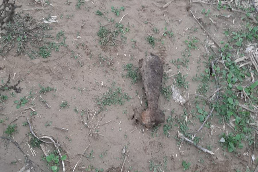Саперы уничтожили боеприпас, найденный на поле в Конгазе