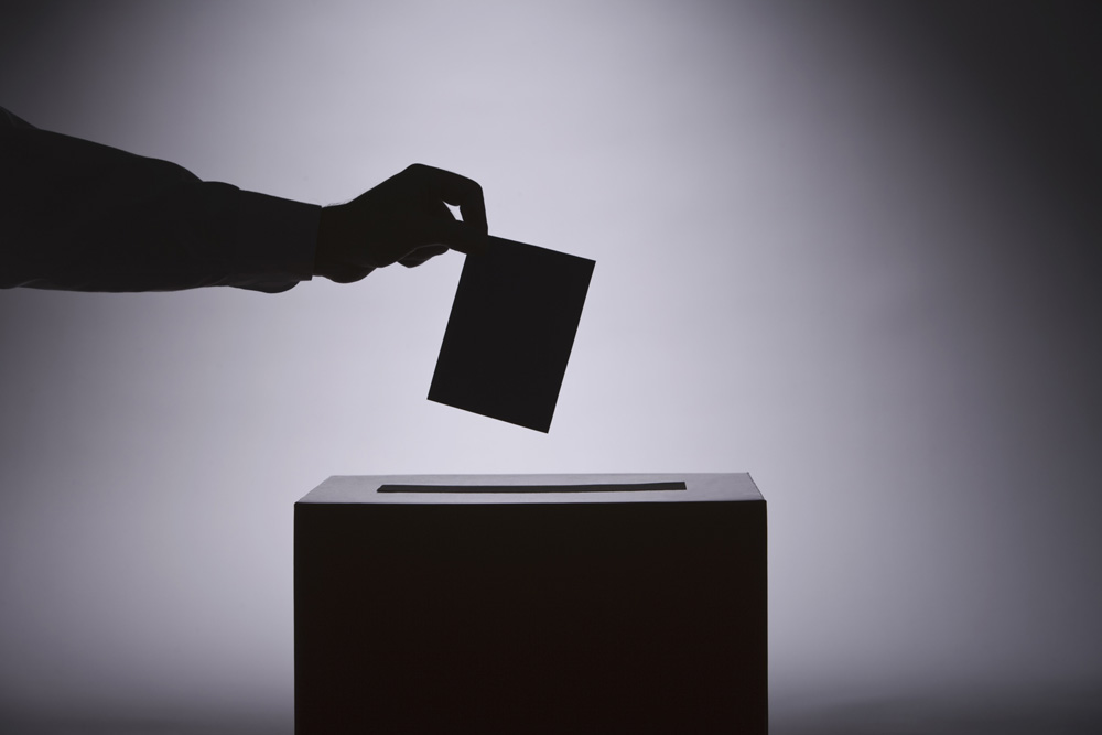 В НСГ проголосовали за «отмену выборов», назначенных на 16 мая