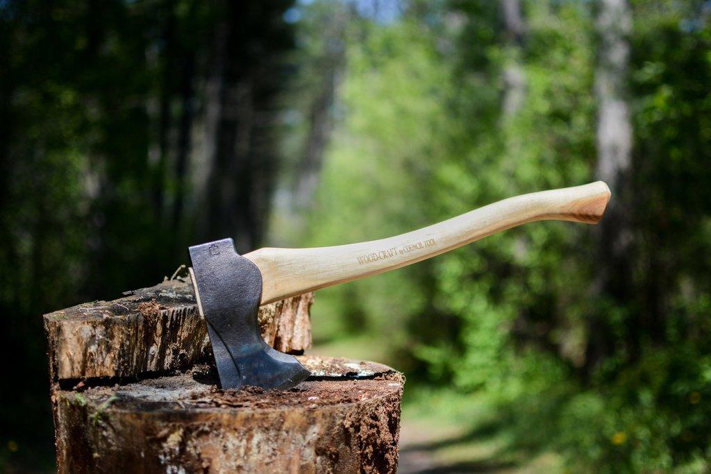 Покупать дрова у «черных лесорубов» не стоит. Почему – объяснил глава Лесного хозяйства Комрат
