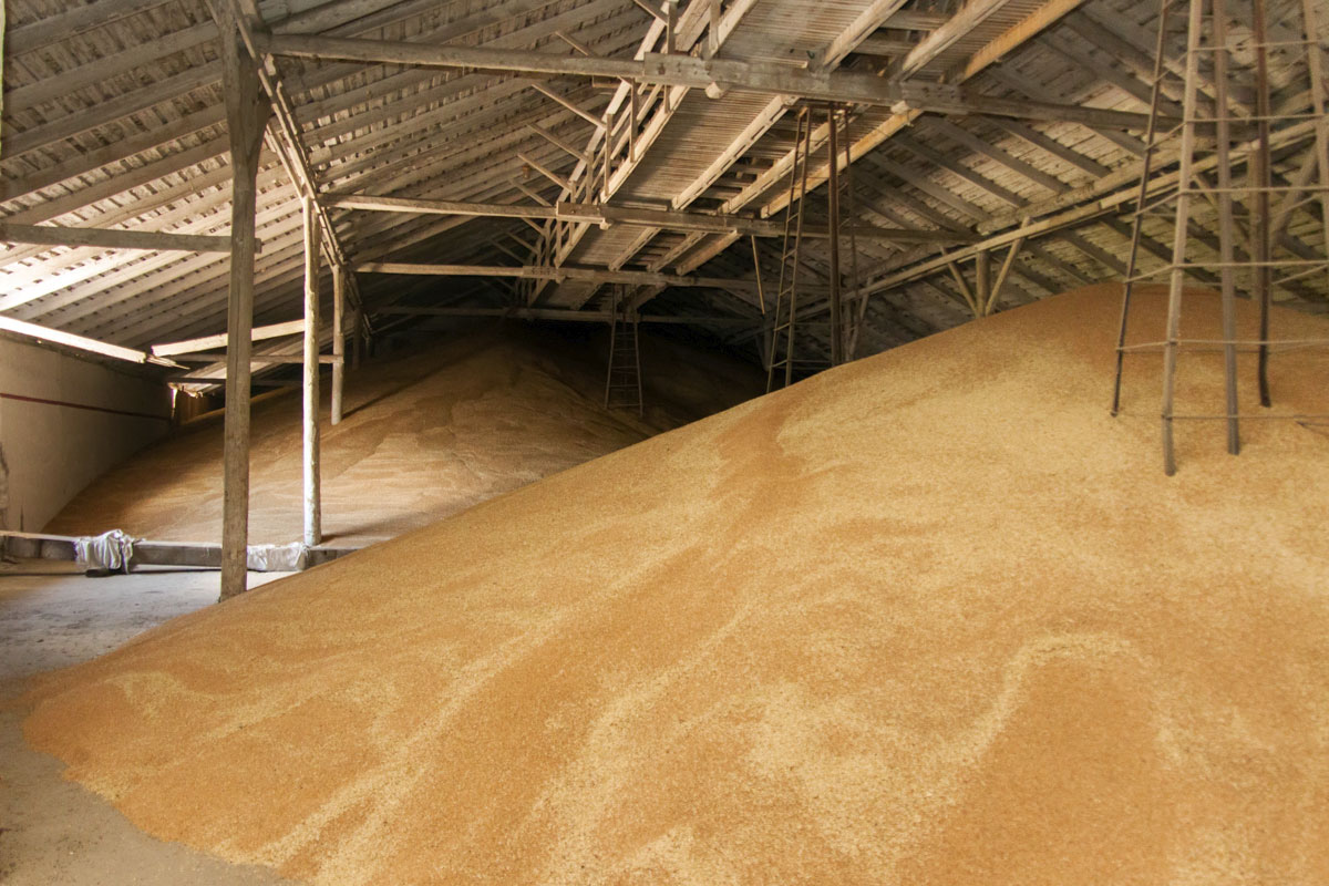 Народное собрание проиграло суд по «делу о гуманитарной пшенице» 