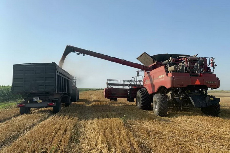 В Гагаузии урожай зерновых бьет рекорды 