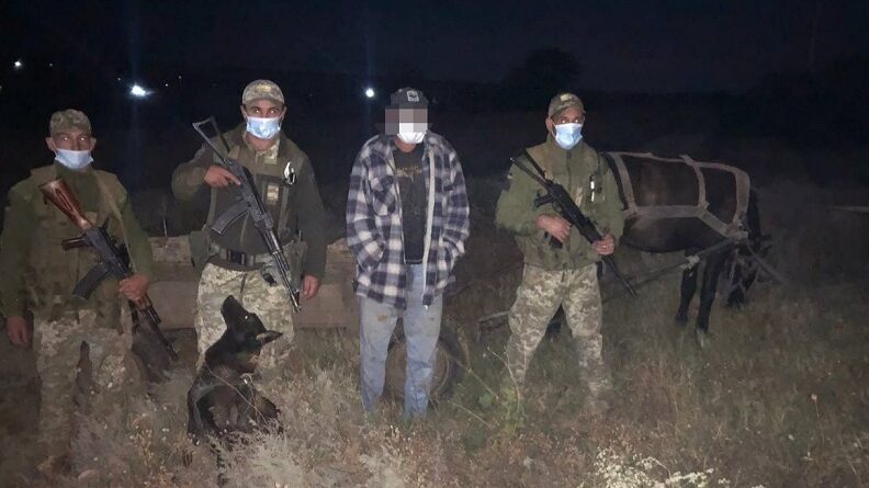 В Украину на телеге: гражданин Молдовы «попался» пограничникам Одесской области