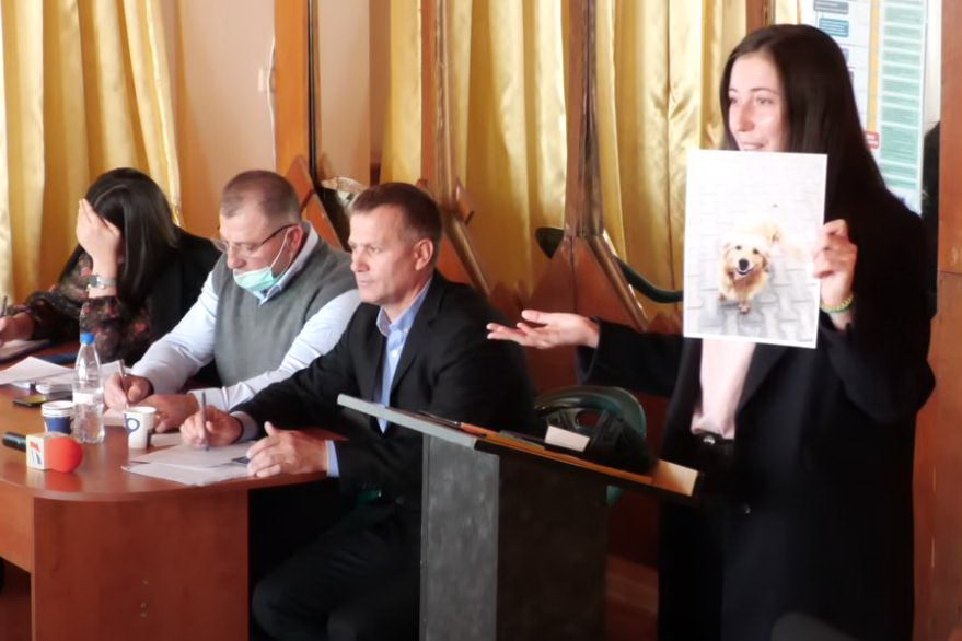 «Хватит убивать собак»: Комратские советники обсудили проблему бродячих собак