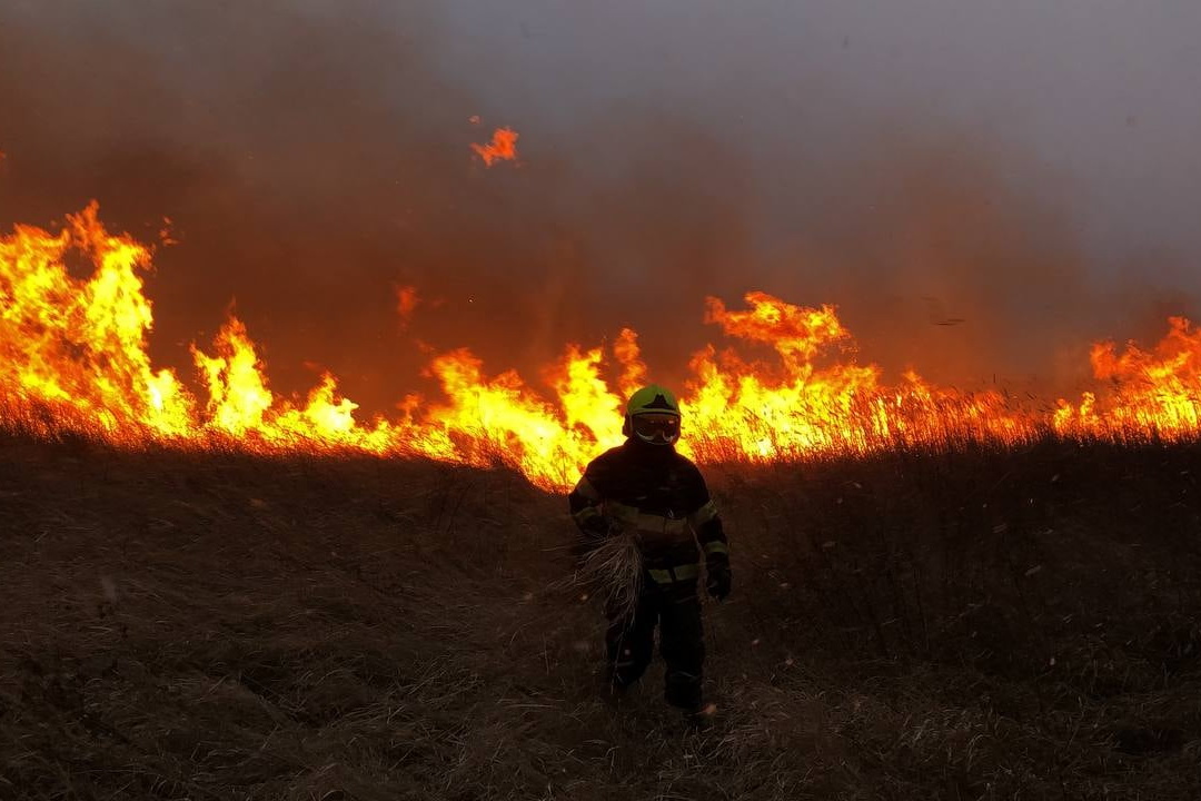 За последние сутки в Молдове произошло 345 пожаров