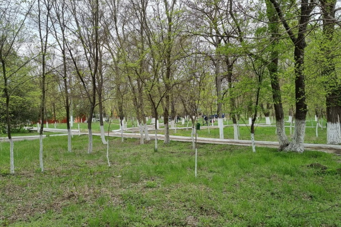 Камеры помогли. Хулиганство в парке Чадыр-Лунги быстро раскрыли